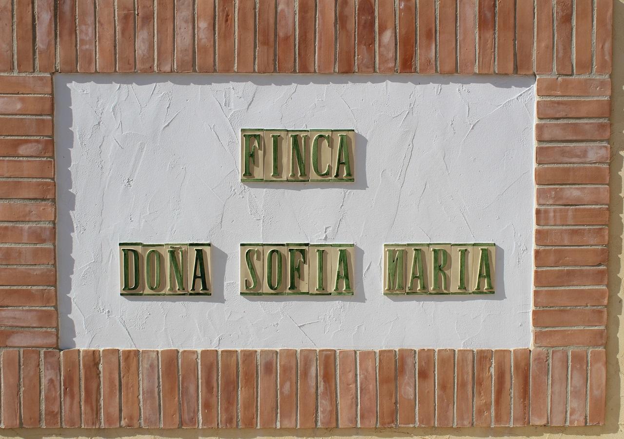 סן פדרו דל פינטר Finca Dona Sofia Maria מראה חיצוני תמונה